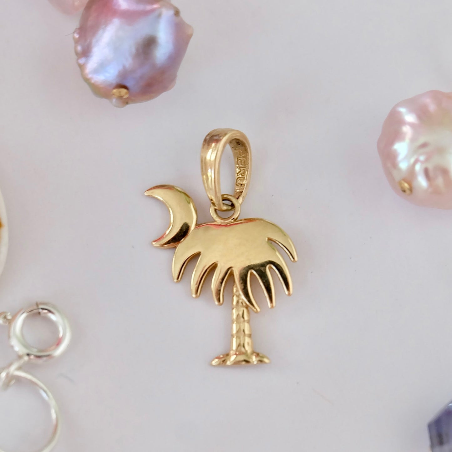 14K Gold Charleston Charm