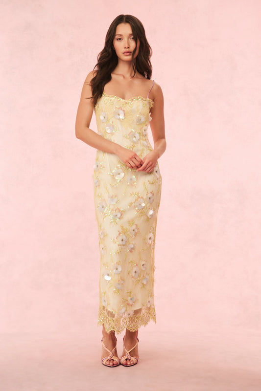 Emalia Embellished Lace Maxi Dress
